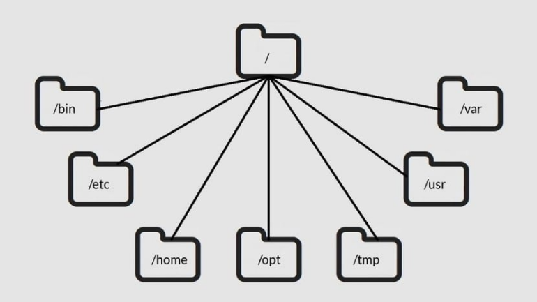 A comprehensive guide to directories in Linux